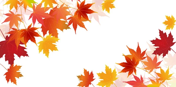 Otoño Hojas Arce Fondo Otoño — Vector de stock