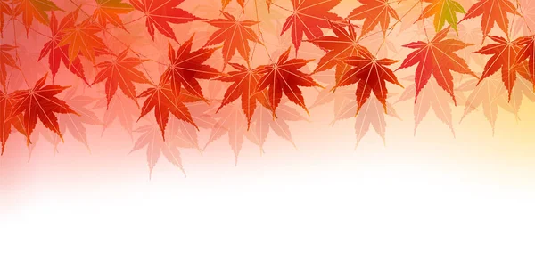 Otoño Hojas Arce Fondo Otoño — Vector de stock