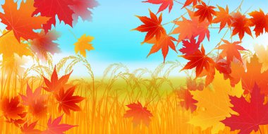 Pirinç pirinç sonbahar suluboya arka plan