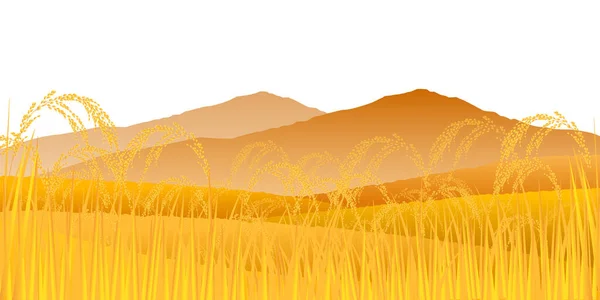 Pirinç Pirinç Sonbahar Suluboya Arka Plan — Stok Vektör