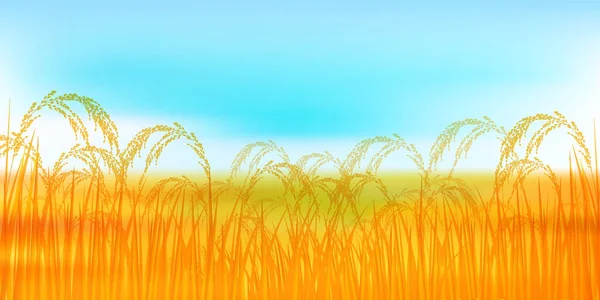 Rýže Rýže Podzim Akvarel Pozadí — Stockový vektor