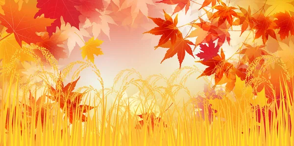 Reis Herbst Aquarell Hintergrund — Stockvektor