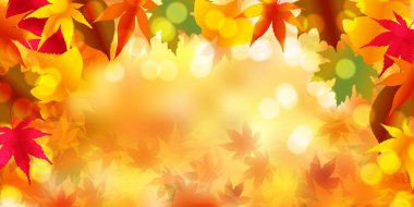 Sonbahar yaprakları akçaağaç sonbahar arkaplanı