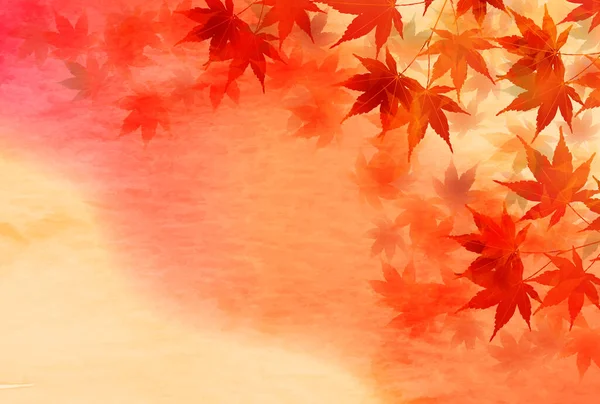 Otoño Hojas Arce Fondo Otoño — Vector de stock