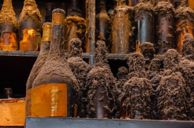 Yaşlı eski şişe topluluğu. Çok eski şişe kaldı görüntüsünü toz, kir ve örümcek ağı ile tüm raflarında, kapalı.