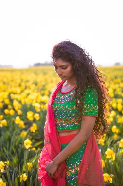 Vbrant geleneksel elbise güzel Hint kadın