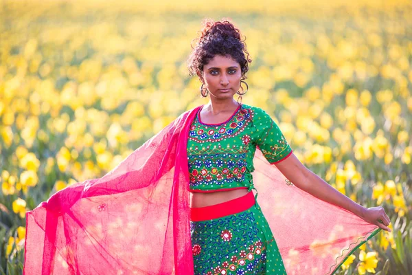 Beautiful Indian woman in vbrant traditional dress — Stock Photo, Image