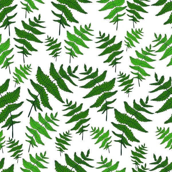 Gröna fern leaf sömlös vild skog mönster vit bakgrund. — Stock vektor