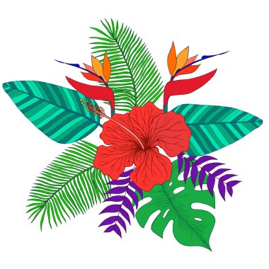 Tropikal palmiye buket bırakır, hibiscus çiçek, kuş, paradi