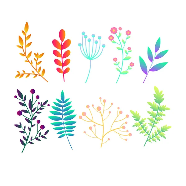 Set mit ursprünglichen hellen Verlauf abstrakte Pflanzen, Zweige und Blätter. Vintage bunte botanische Muster Sammlung Symbole für das Design. isoliert auf weißem Hintergrund. — Stockvektor