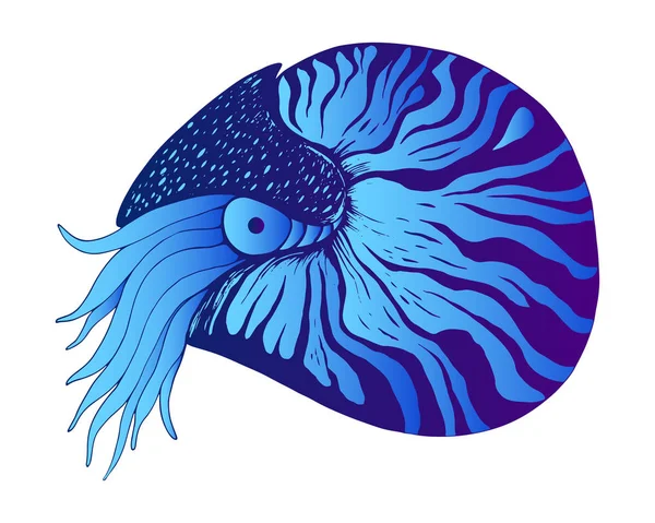 Nautilus colorido animal decorativo, azul y azul oscuro gradiente — Vector de stock