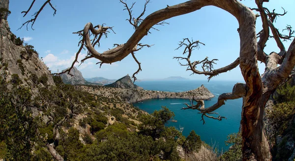 Piękno Przyrody Morza Krajobraz Crimea Nowy Świat Noviy Svet Morza — Zdjęcie stockowe