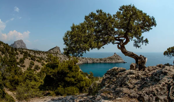 Skönhet Natur Havet Landskap Crimea New World Novy Svet Svarta — Stockfoto