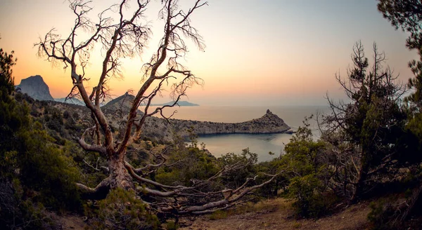 Schoonheid Natuur Zee Landschap Crimea New World Noviy Svet Zwarte — Stockfoto