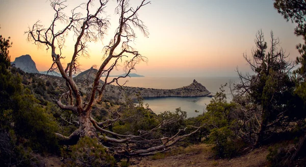 Skönhet Natur Havet Landskap Crimea New World Novy Svet Svarta — Stockfoto