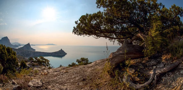 Bellezza Natura Paesaggio Marino Crimea Nuovo Mondo Noviy Svet Mar — Foto Stock