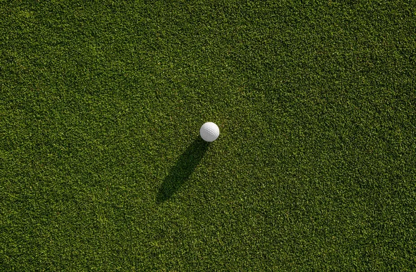 Sfondo di erba verde — Foto Stock