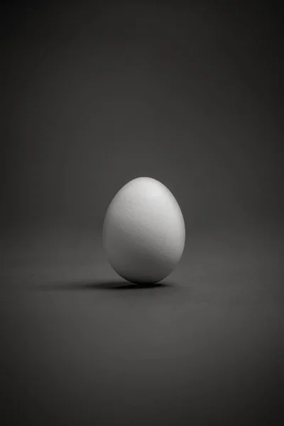 Un huevo blanco — Foto de Stock