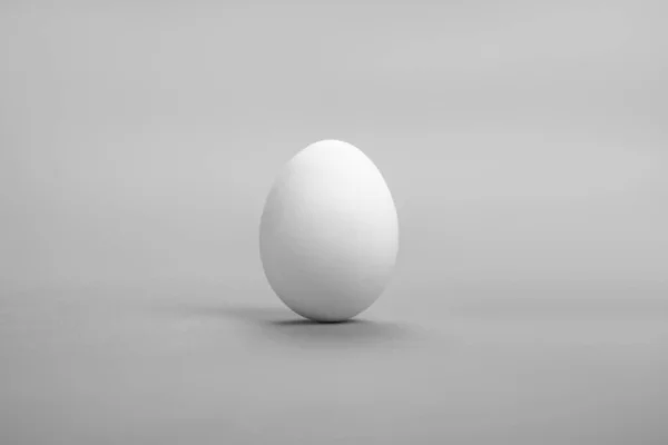 One white egg — Stock Photo, Image
