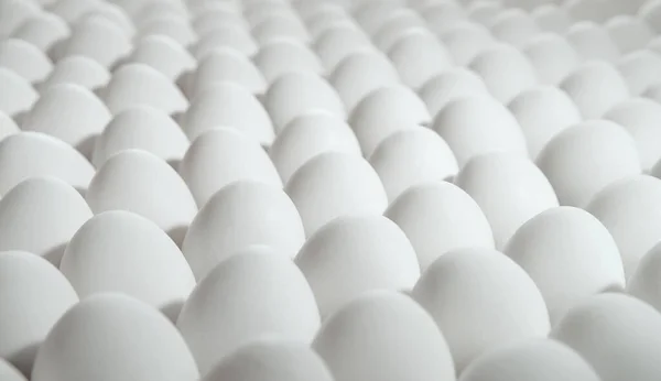 Mnoho bílých vajec — Stock fotografie