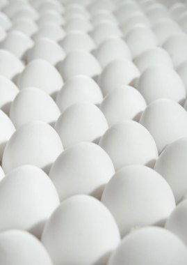 birçok beyaz yumurta 
