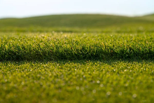 Prato Verde Erba Corta Taglio Fresco Tosaerba Foto Orizzontale — Foto Stock