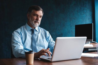 Dizüstü bilgisayarda çalışan kıdemli bir adam.