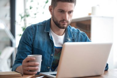 İnternette çalışan yakışıklı modern erkek tasarımcı, evde internet kullanıyor.