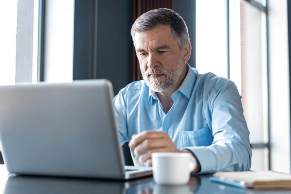 Volwassen zakenman werkt aan een laptop. Knappe volwassen business leader zittend in een modern kantoor — Stockfoto