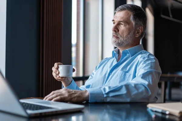 Volwassen zakenman werkt aan een laptop. Knappe volwassen business leader zittend in een modern kantoor — Stockfoto