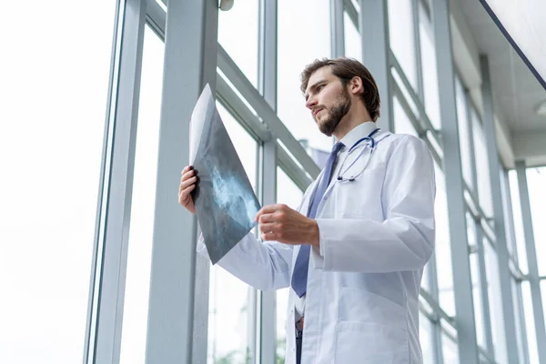 Νοσοκομειακός γιατρός που κρατά τους ασθενείς ακτινογραφία φιλμ, ακτινολόγος που μελετά τα αποτελέσματα των ακτινογραφιών. — Φωτογραφία Αρχείου