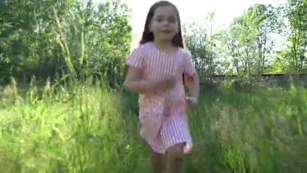 Gadis kecil yang cantik berjalan di lapangan pinus bluebonnets dan memetik bunga. — Stok Video