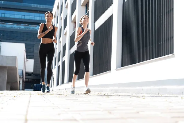 Přizpůsobit ženy ve sportovním oblečení jogging venku a žít zdravý životní styl — Stock fotografie