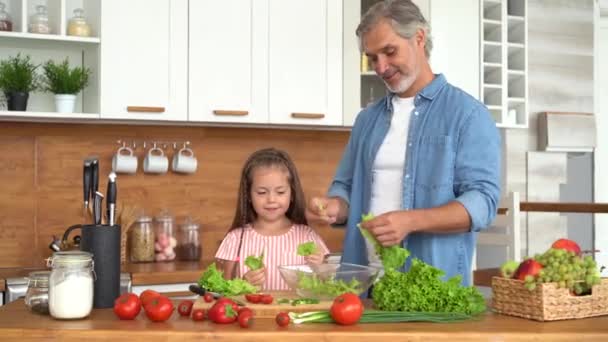 Mladý táta učí dítě připravovat zdravé jídlo řezání zeleninový salát — Stock video