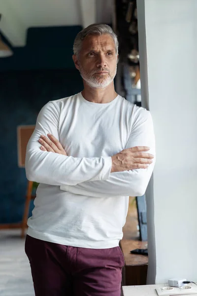 Business lifestyle. Casual Grey-haired Mature professional handsome businessman standing near window in his office