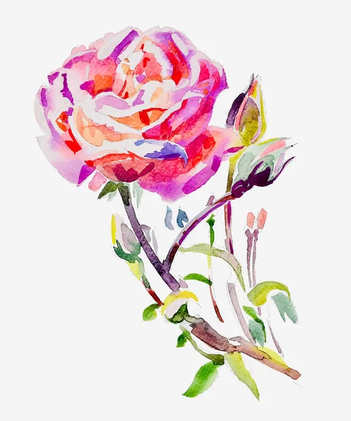 Peinture à la main originale aquarelle rose — Image vectorielle