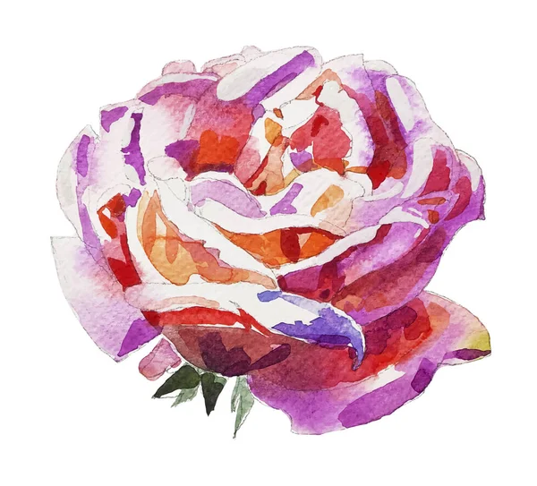 Χειροποίητο ακουαρέλα τριαντάφυλλο απομονώνονται σε λευκό φόντο — Διανυσματικό Αρχείο