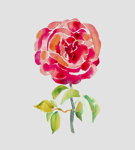 Декоративна ручна розпис червоної троянди — стоковий вектор