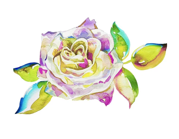 Malowanie dekoracyjne ręcznie róży na białym tle — Zdjęcie stockowe