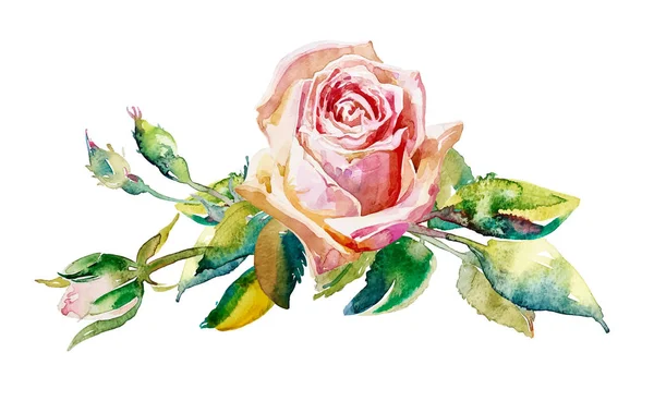 Decorative hand painting of rose isolated on white — Stock Vector