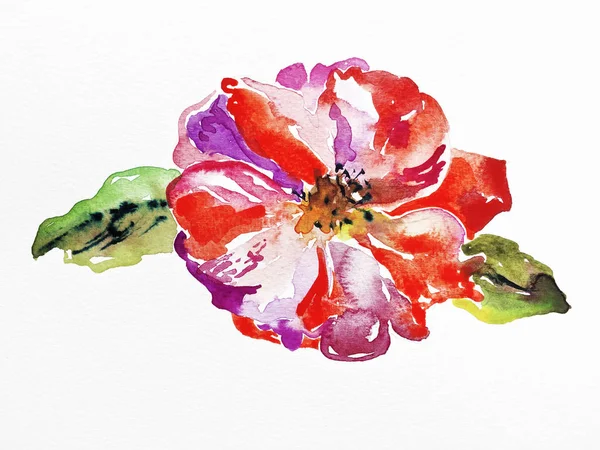 Handgemachtes Aquarell Rose auf weißem Papier — Stockfoto