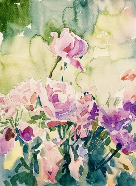Original Aquarell-Gemälde von rosa Rosen im Garten — Stockfoto