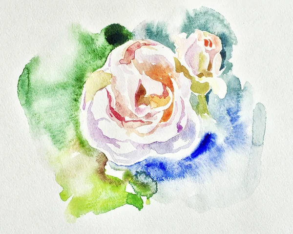 オリジナル美しい水彩白バラ イラスト — ストック写真