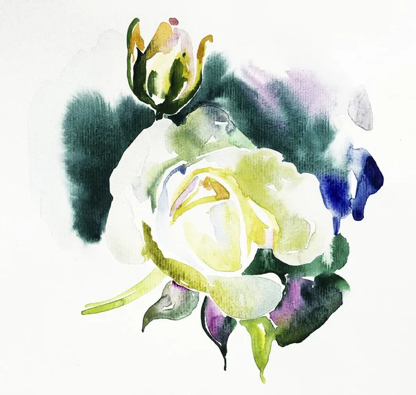 Original beautiful watercolor white rose illustration — Stock Photo, Image