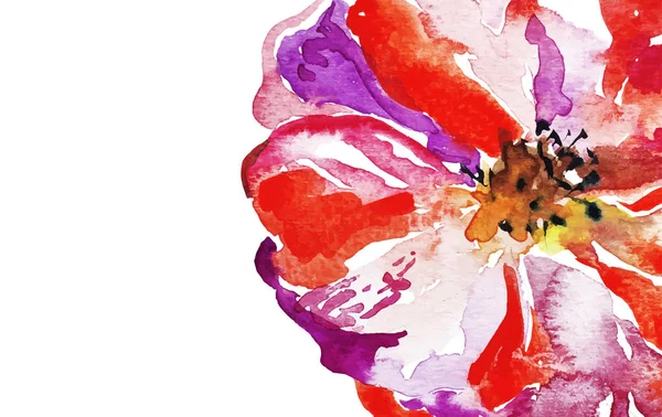 Aquarelle lumineuse rouge fond de fleur de pavot — Image vectorielle