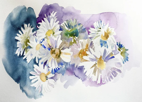 Watercolor painting bouquet of white chamomiles — Stock Photo, Image