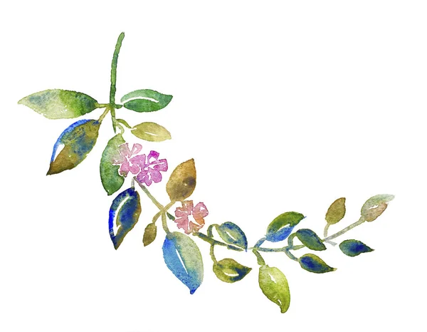Ακουαρέλα υποκατάστημα χειροποίητο στεφάνι με φύλλα και λουλούδια — Φωτογραφία Αρχείου