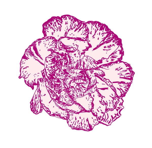 Disegno a mano realistico disegno floreale a motivo floreale — Vettoriale Stock