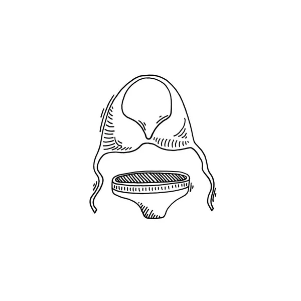 Mayo kroki çizim simgesini yaz temalı — Stok Vektör