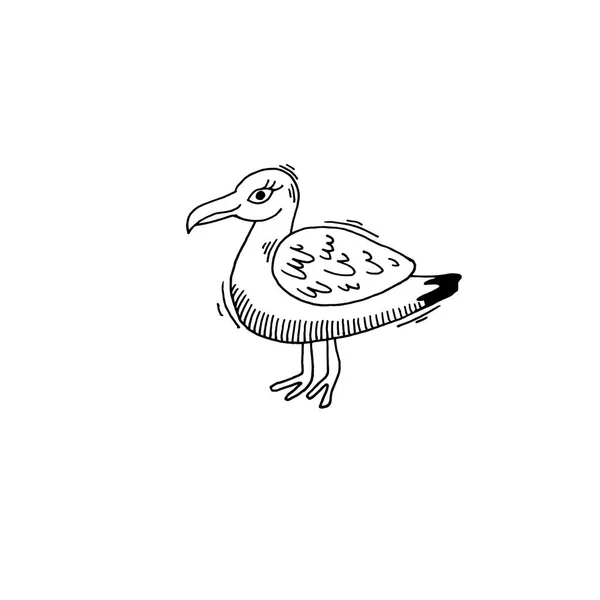 Skica pták Racek kreslení ikon letní tématikou — Stockový vektor